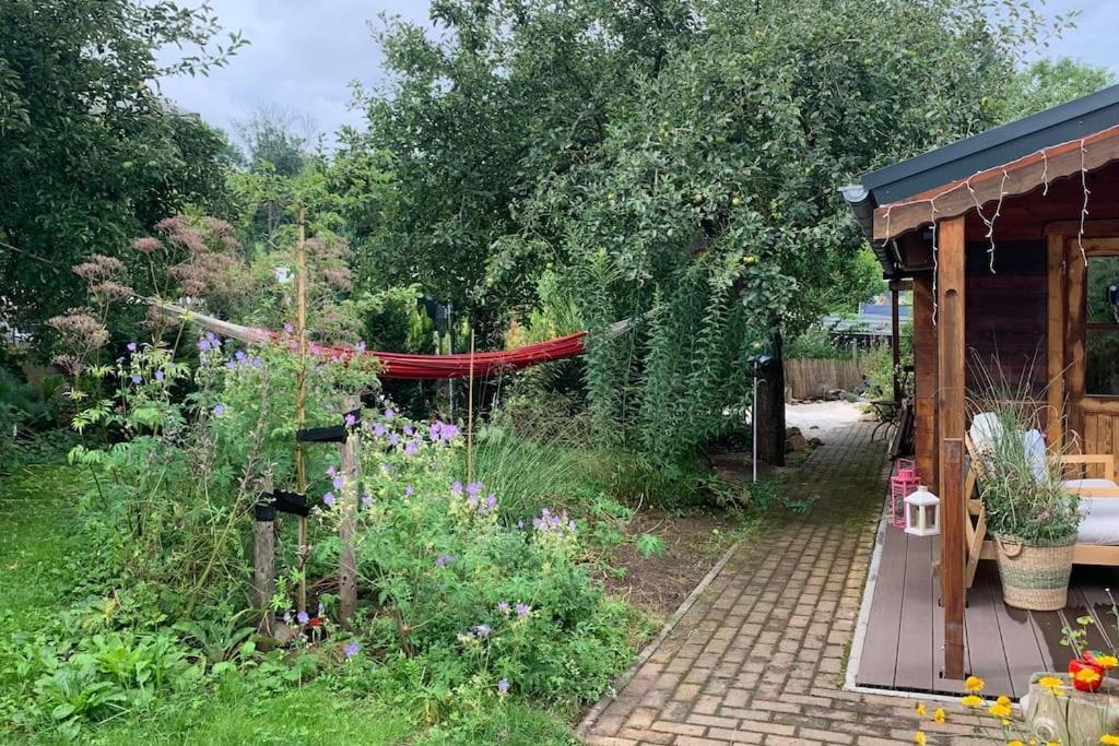 Strandlust Doebeln - Bungalow Fuer Eine Gemuetliche Auszeit Zewnętrze zdjęcie